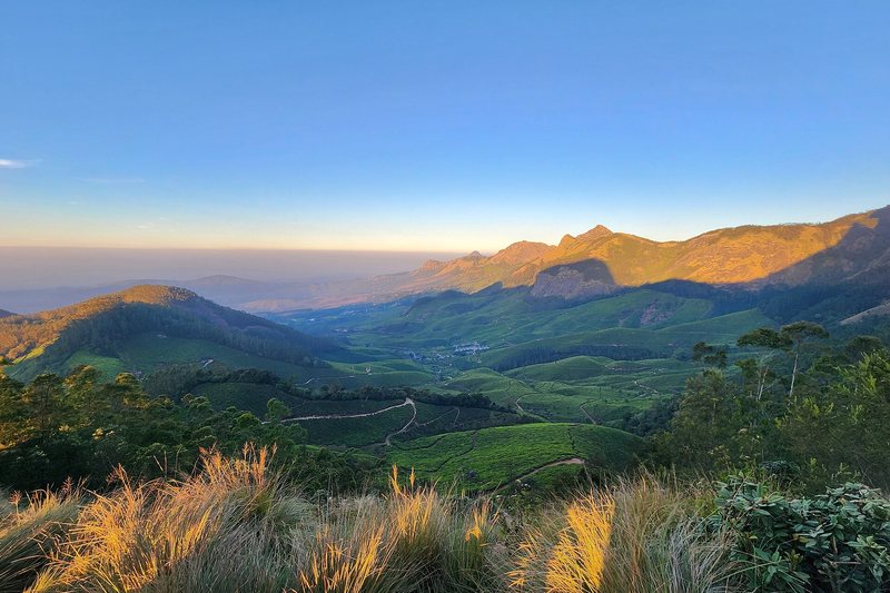 Sunrise over the tea plantations and ranges at Munnar