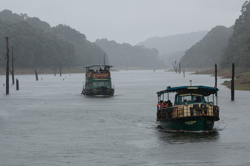 Boats on Periyar Lake at Thekkady, Periyar Tiger Reserve